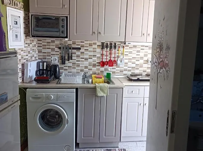 Case de vacanță 