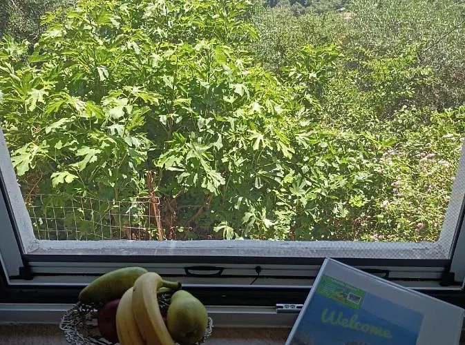Case de vacanță 